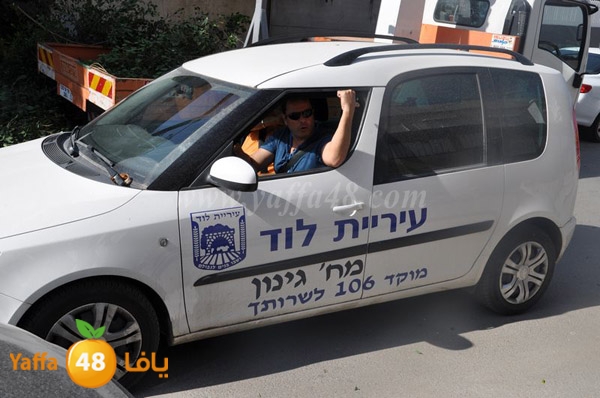 trees lud 1112 (10).JPG